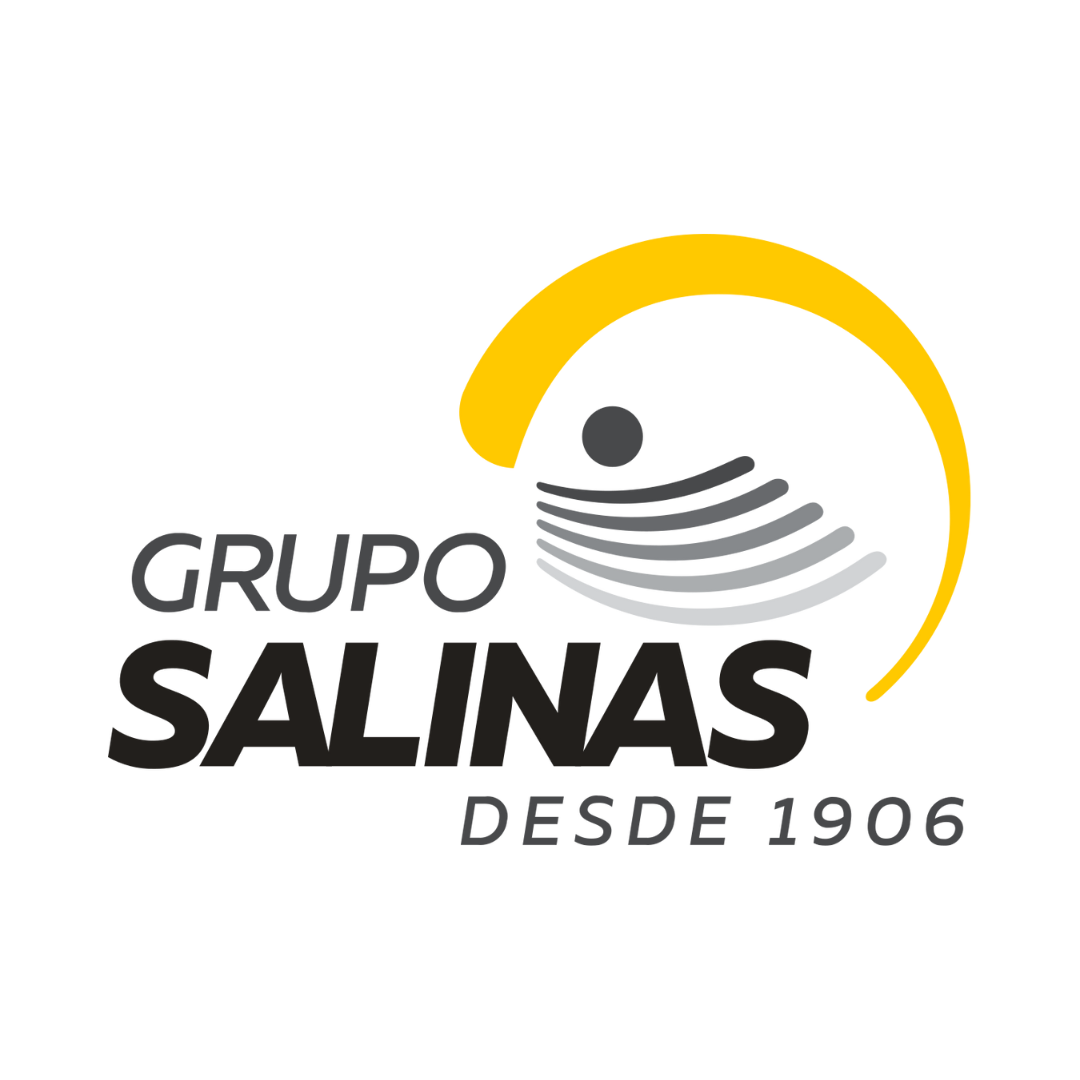 Clientes Dimmin 2025